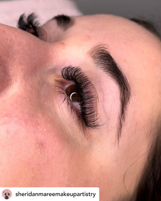 6D .07 Pre Made Volume XL Tray - Short Stem - D Curl